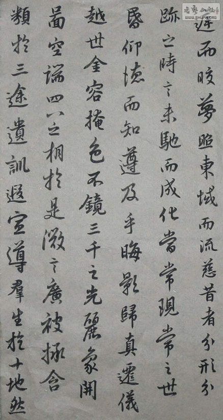 P1020289.JPG