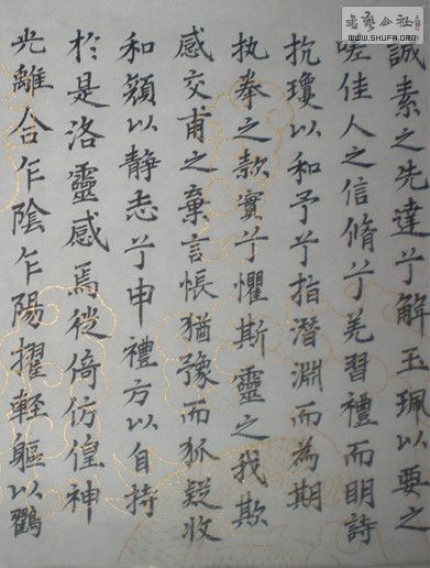 DSCN3704_.jpg