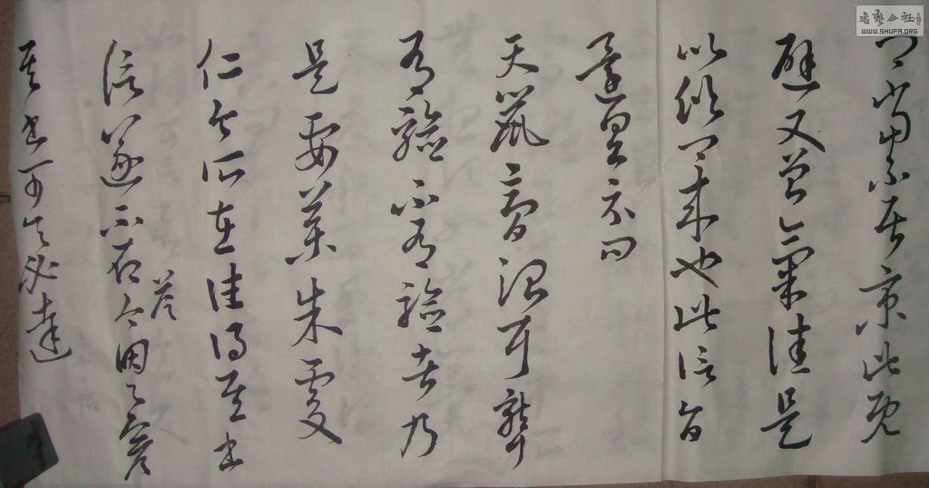 shiqi.jpg
