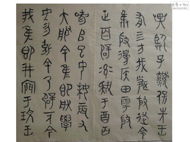 DSC01316.JPG