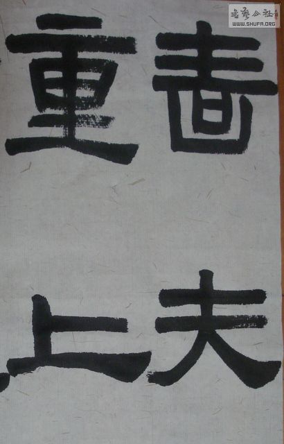 DSC08781.JPG