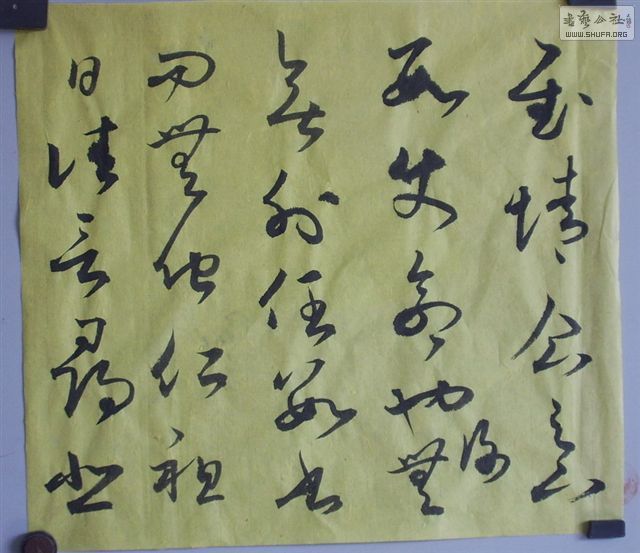 ȻƬ 042.JPG