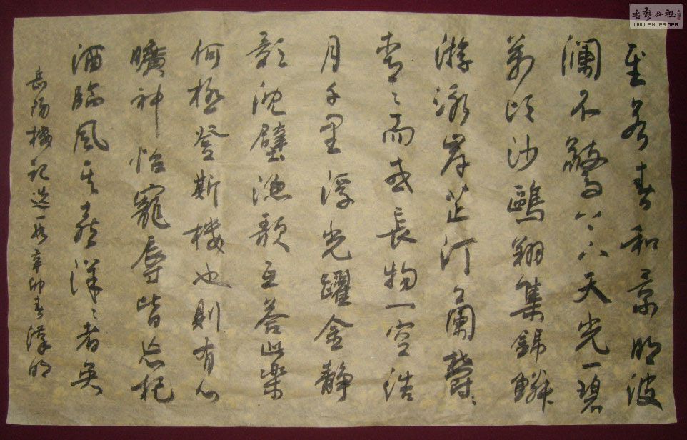STP63194.jpg