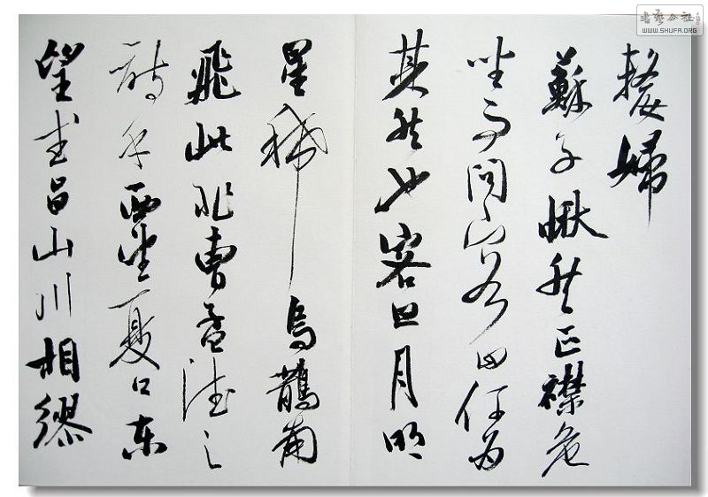 Ƭ 079.jpg
