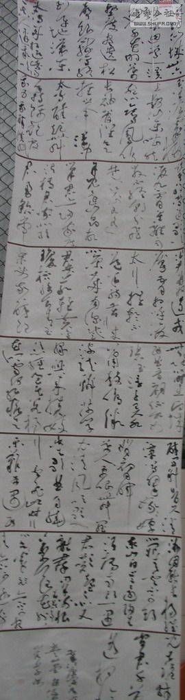 P1010162.jpg