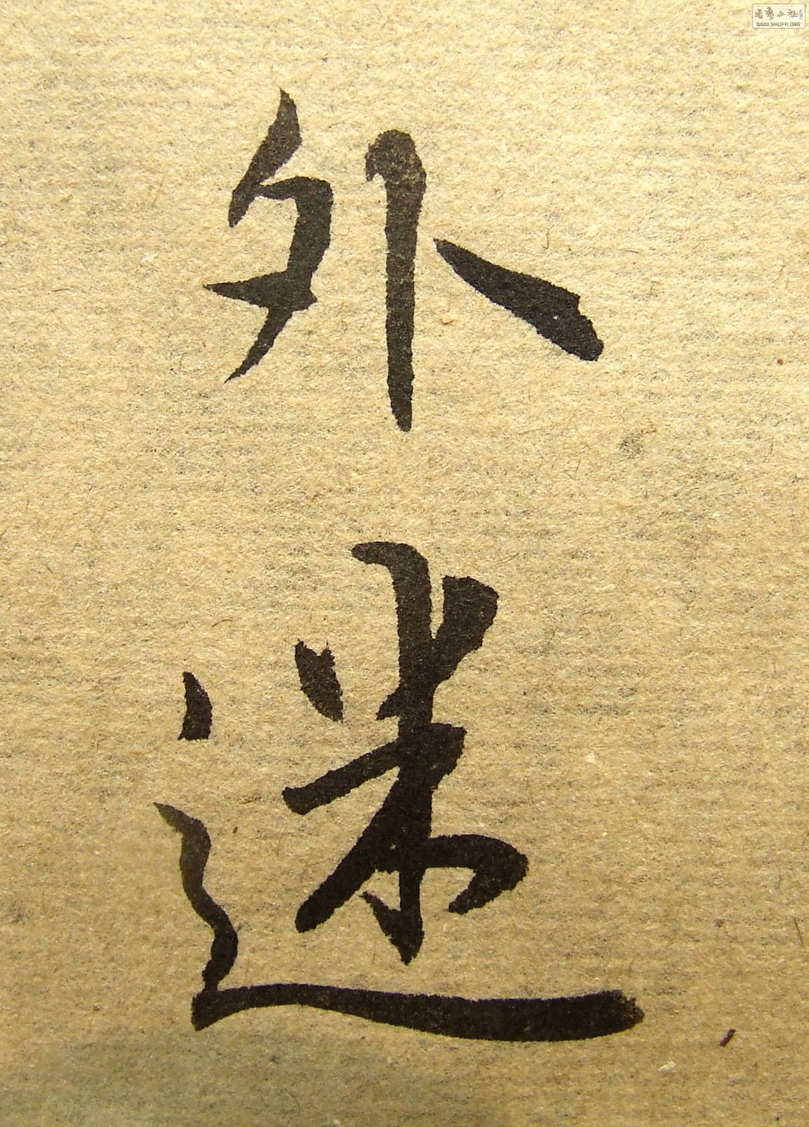 DSCF5217.JPG