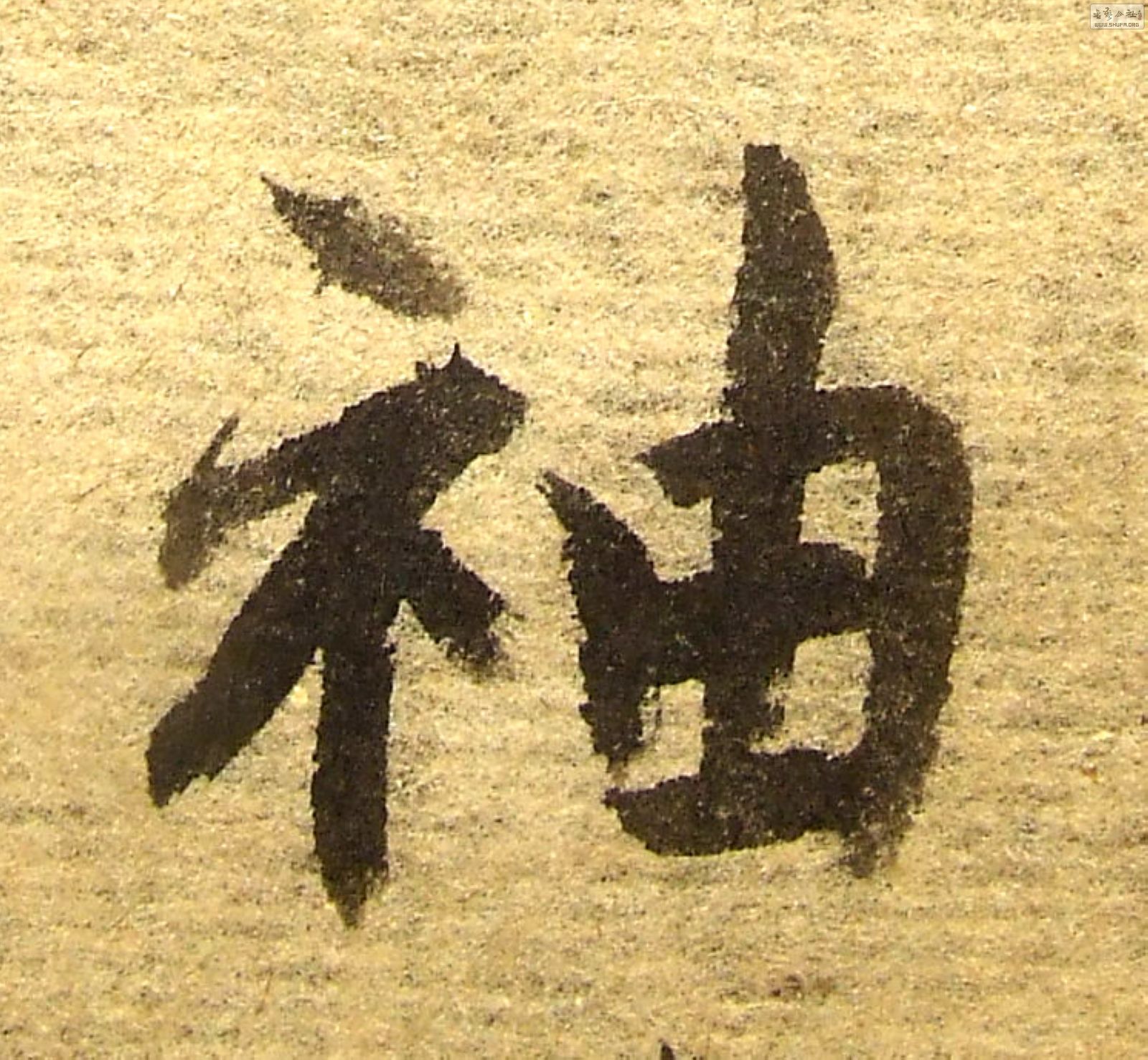 DSCF5219.JPG