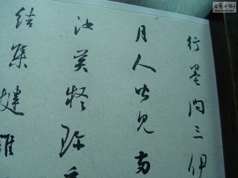 ſ鷨024.jpg