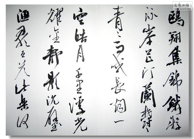 Ƭ 046.jpg