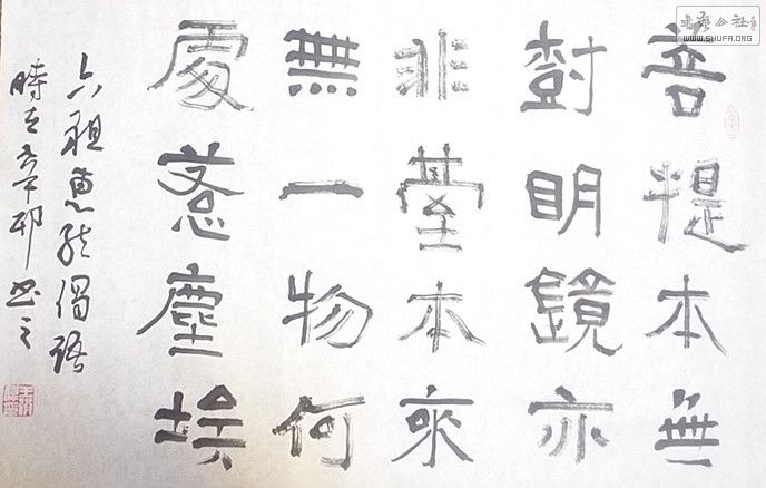 P1000539_.jpg