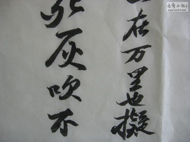 Ƭ 024.jpg