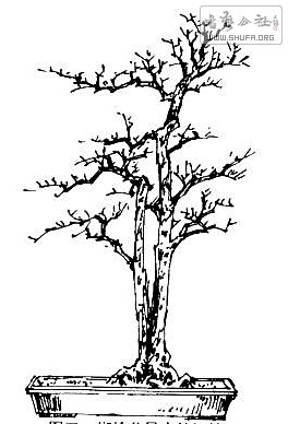  20080125_047e643166803f13c33b1KjZJk8hLRCx.jpg