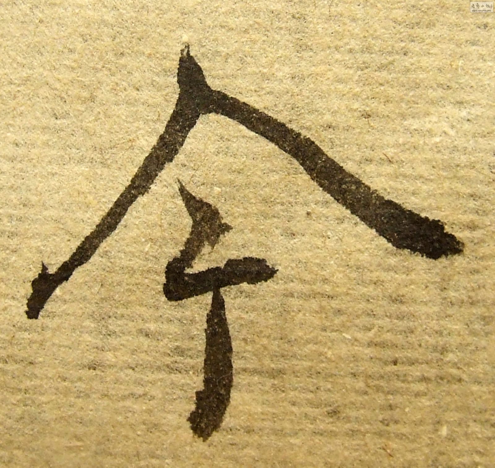 DSCF5233.JPG