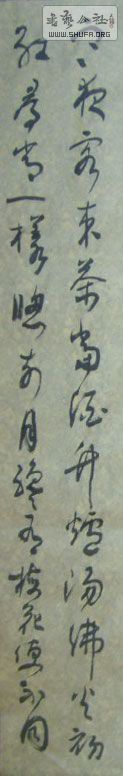 STP63242.jpg