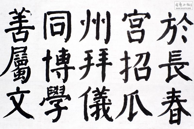 IMGP9906.jpg