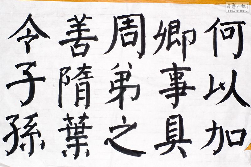 IMGP9903.jpg
