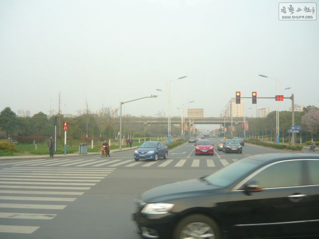 P1170334.JPG