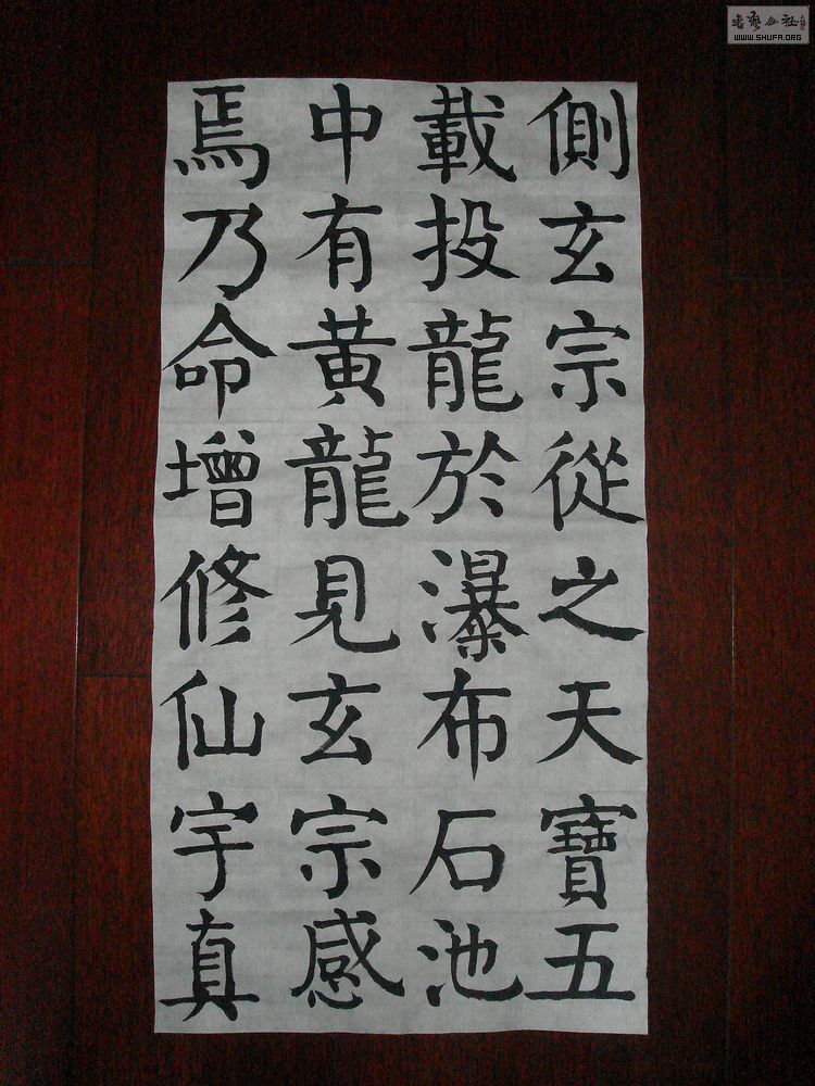 DSC04534.jpg