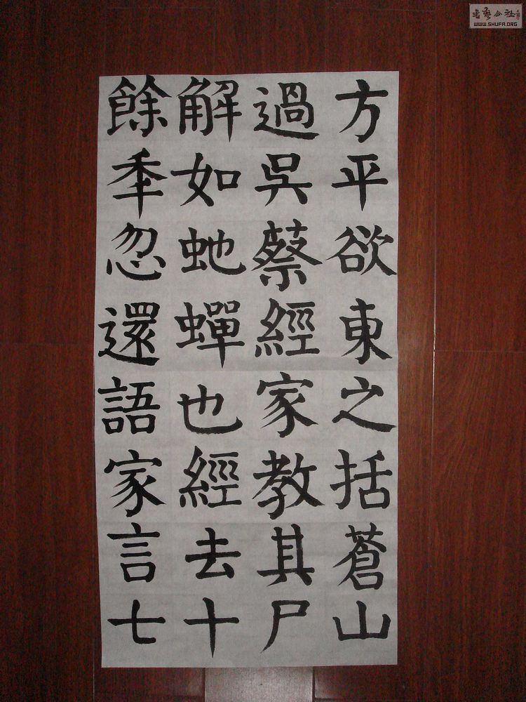 DSC04544.jpg