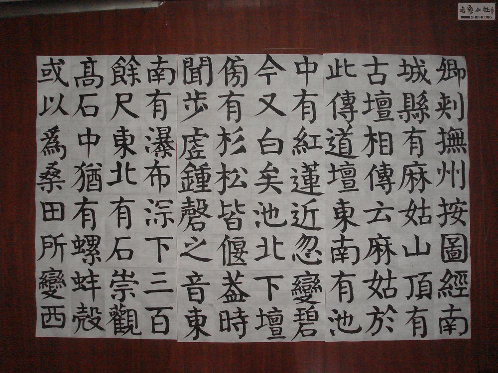 DSC04510.jpg
