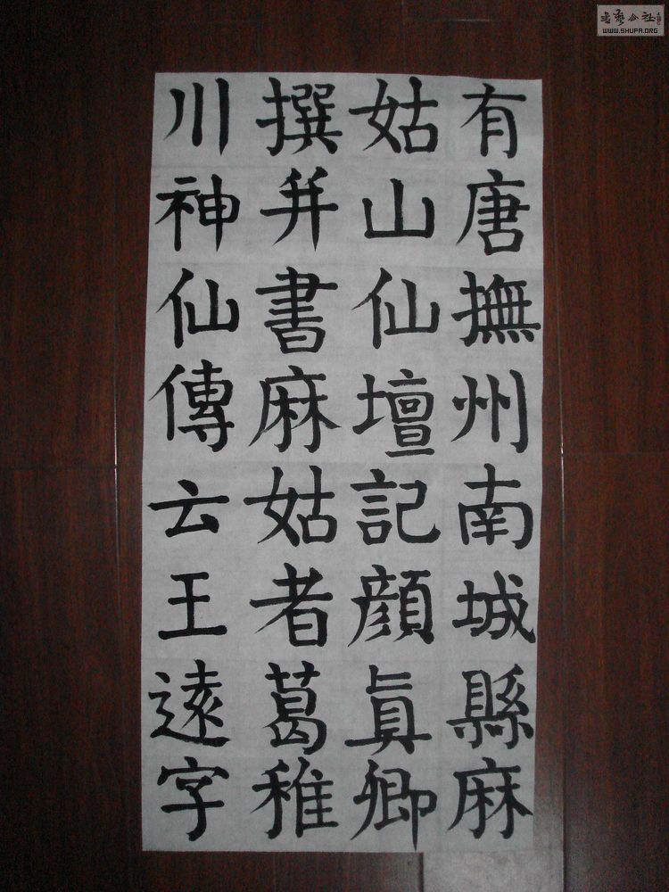 DSC04543.jpg
