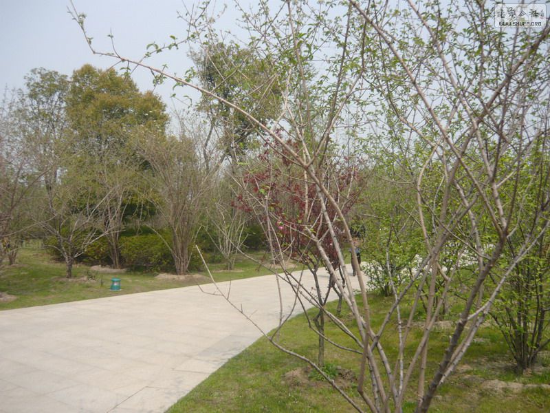 P1170541.jpg