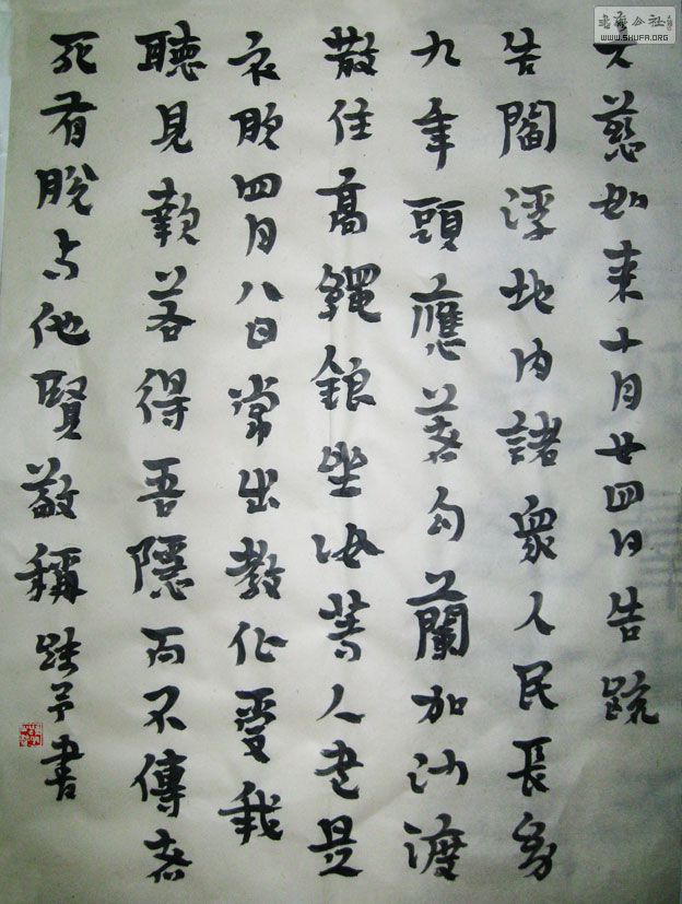 鷨01.jpg