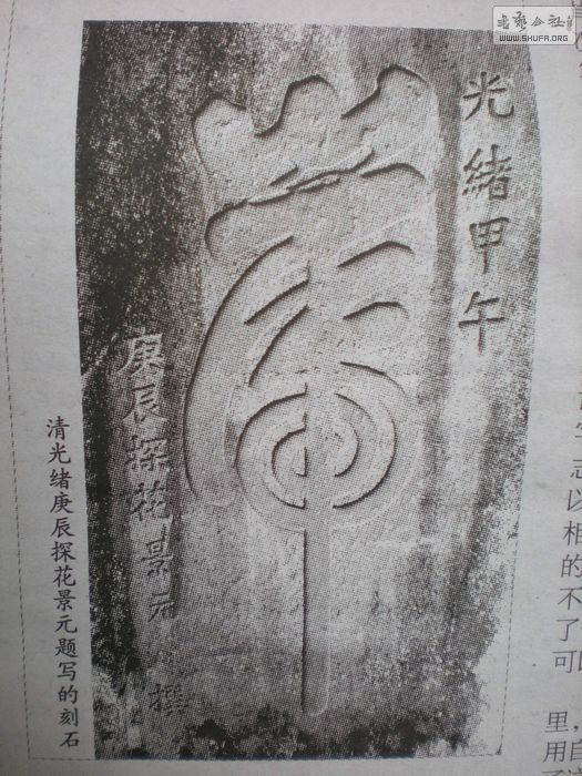 DSCN9115.JPG