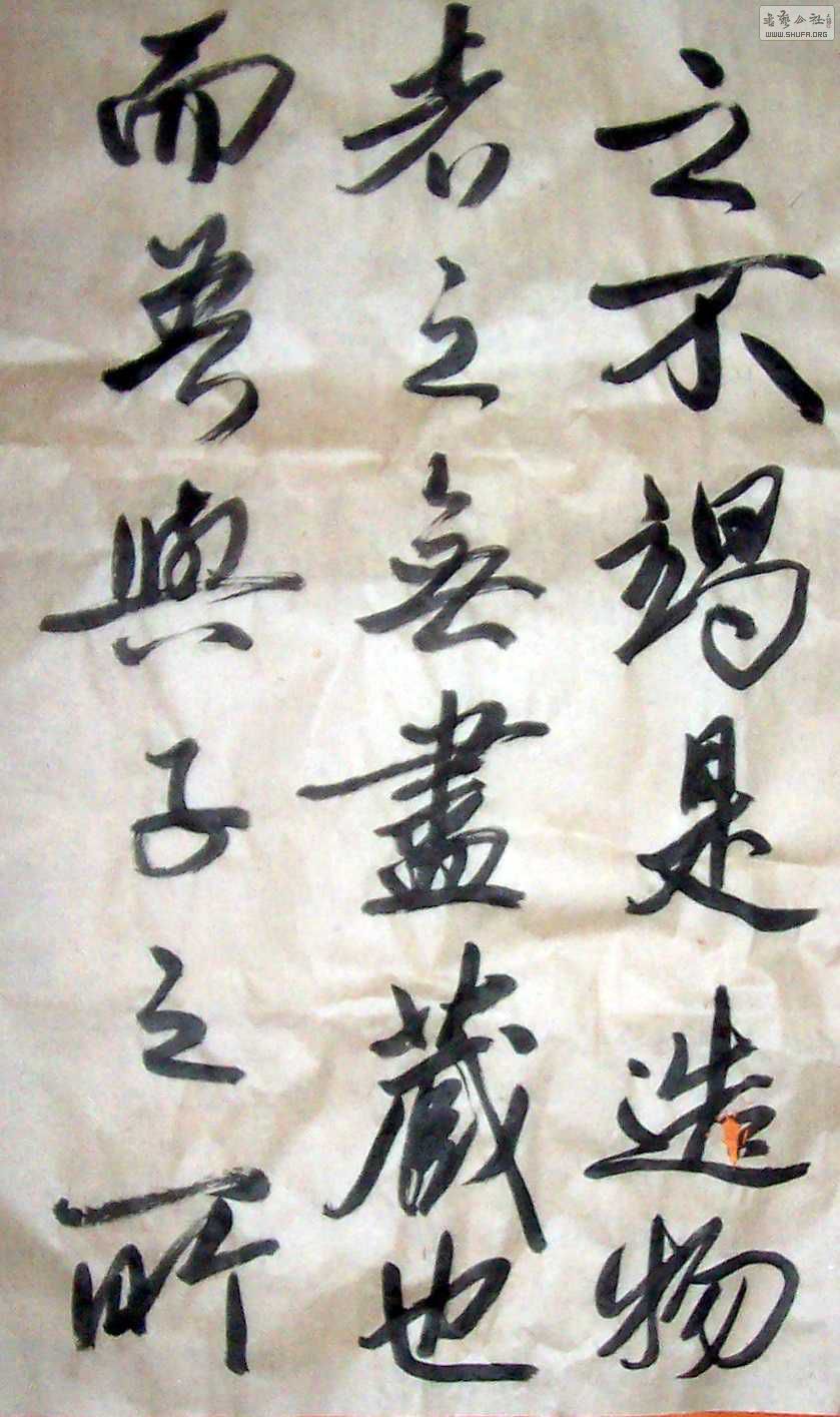 Ƭ2 1165.jpg