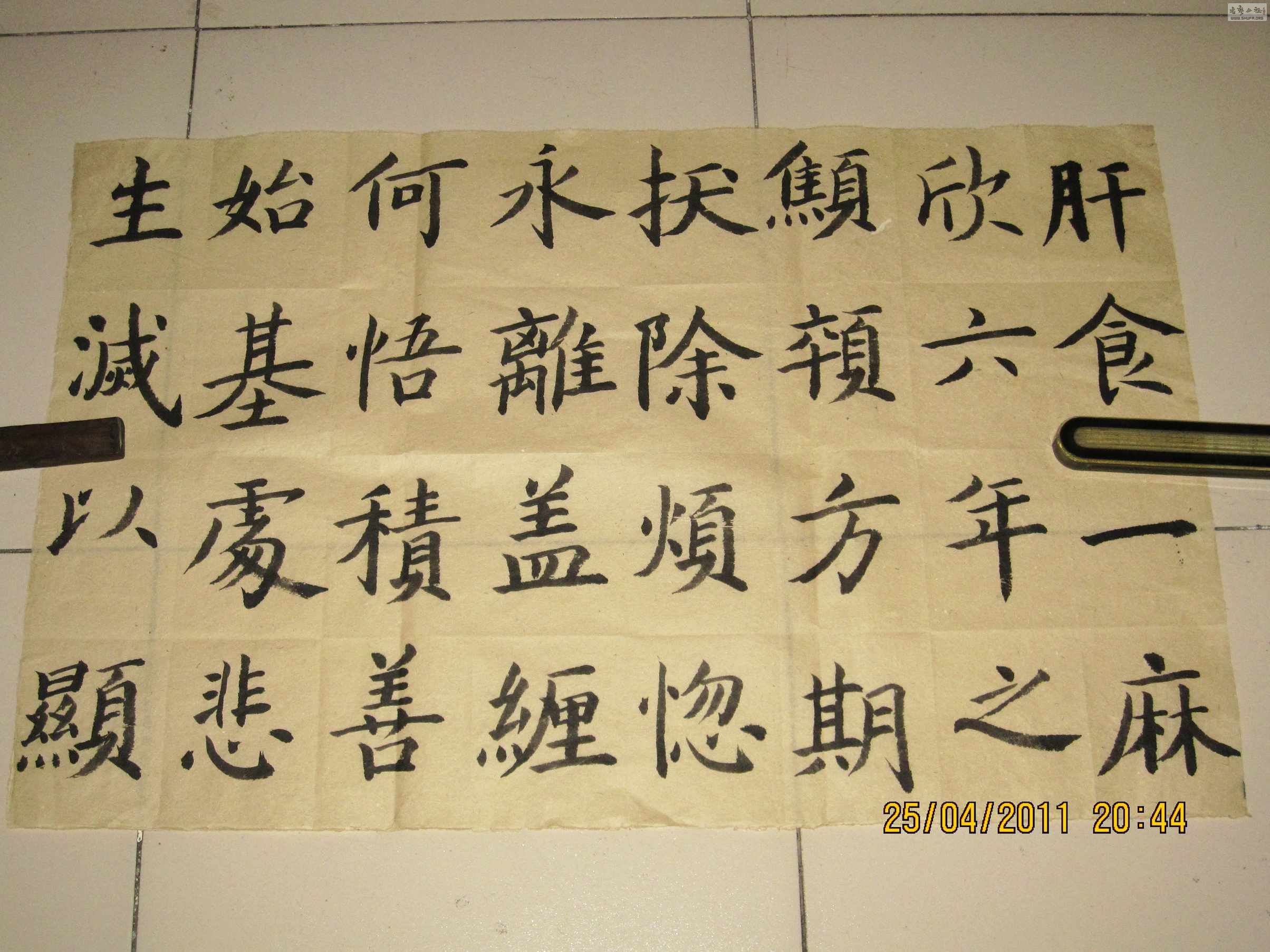 04.jpg