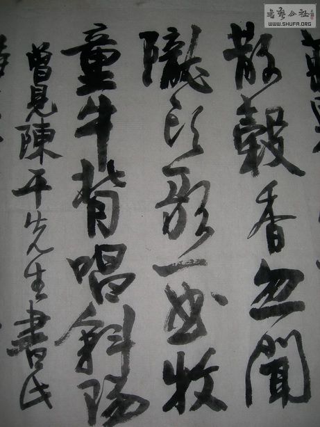 DSCN6525_С.jpg
