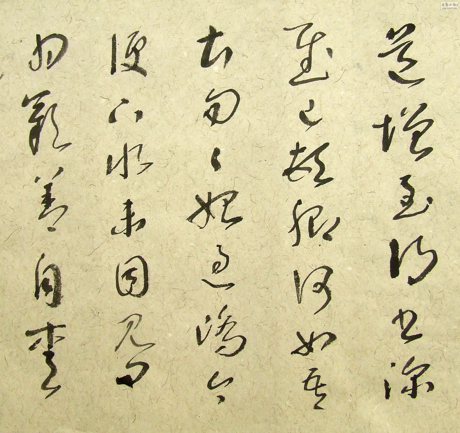 DSCF9876.JPG