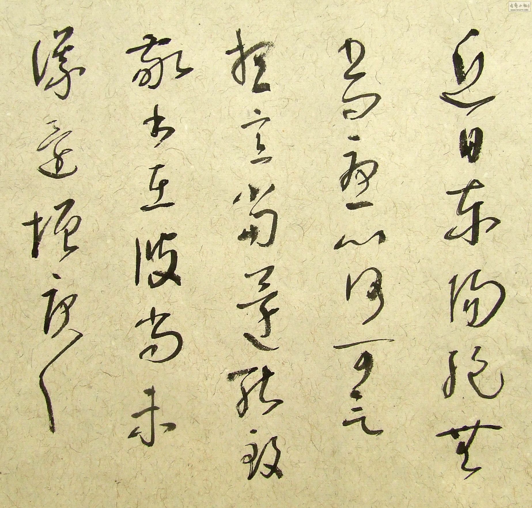 DSCF9878.JPG