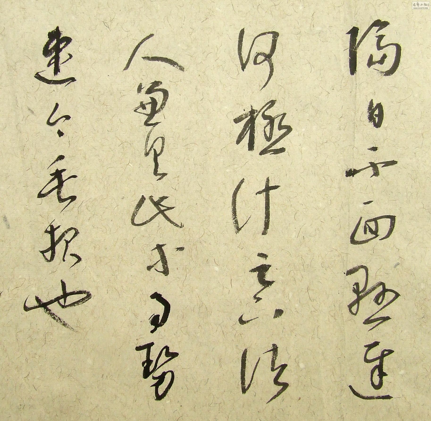 DSCF9879.JPG