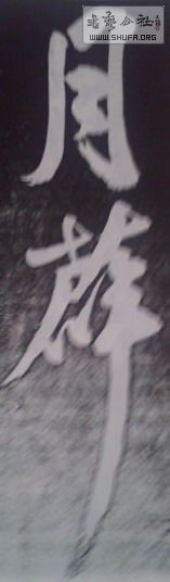 IMG0244A.jpg