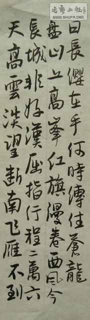 yangzi90̼鷨Ʒ (71).JPG