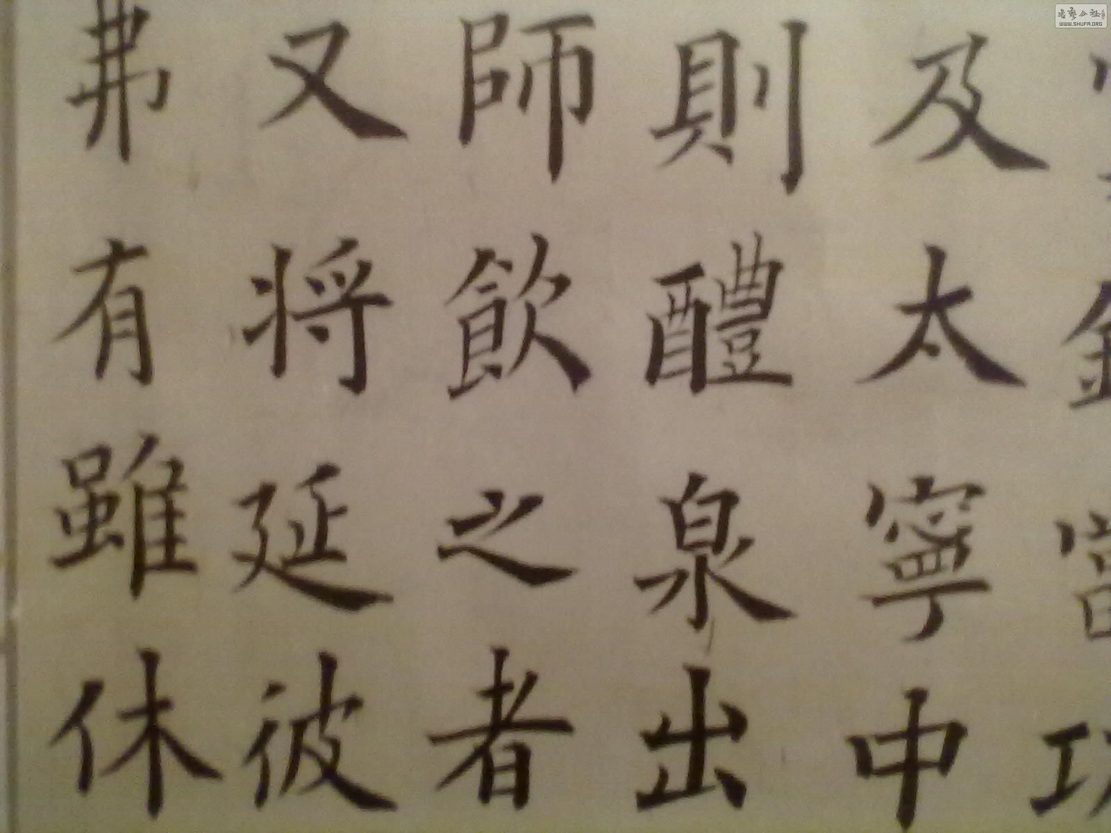 20110426087.jpg