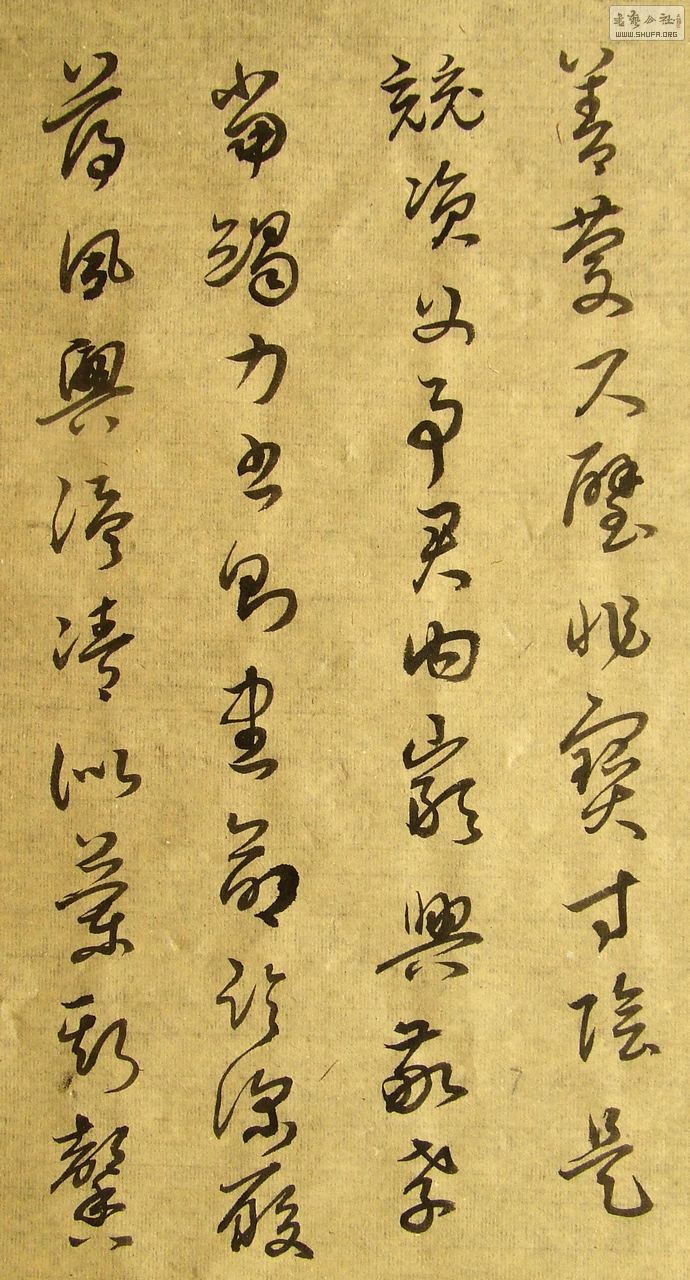 DSCF7730.JPG