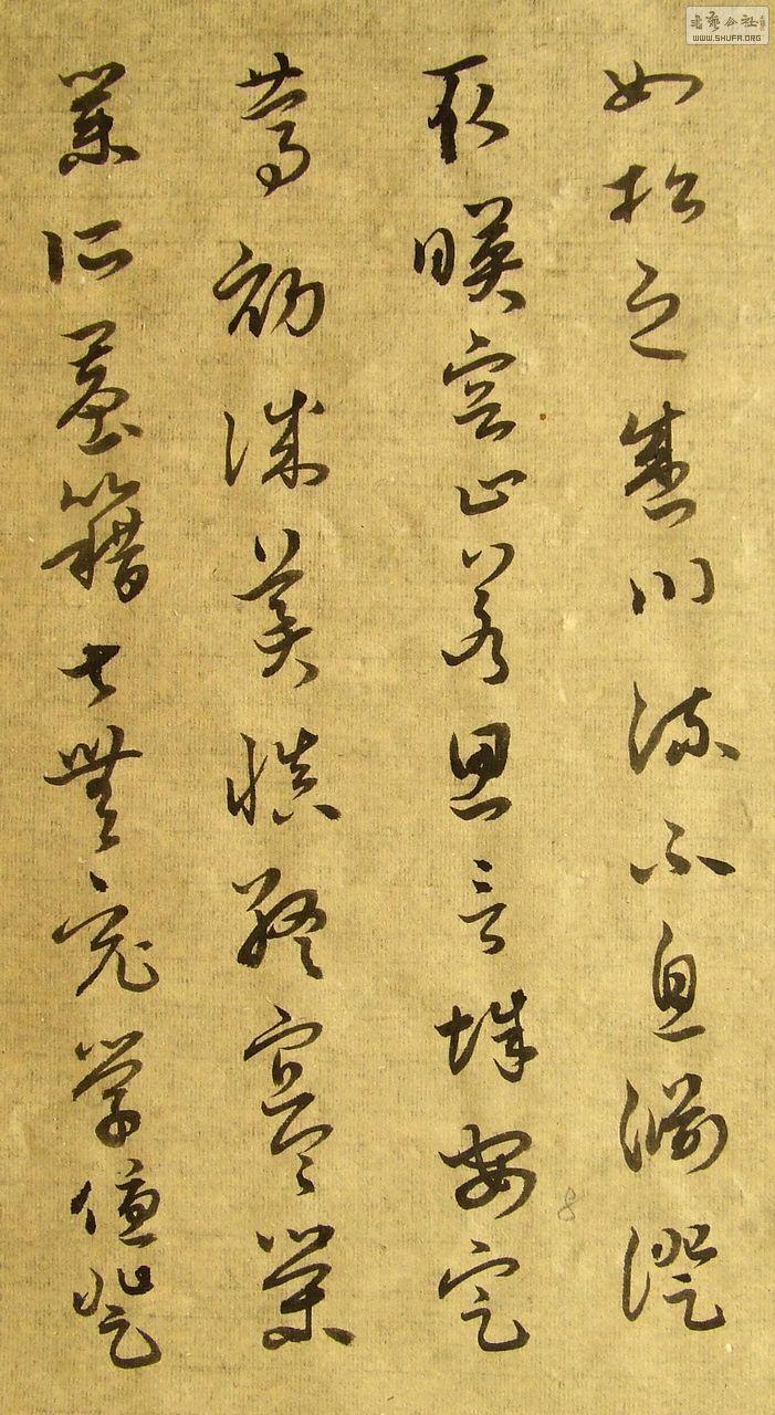 DSCF7731.JPG