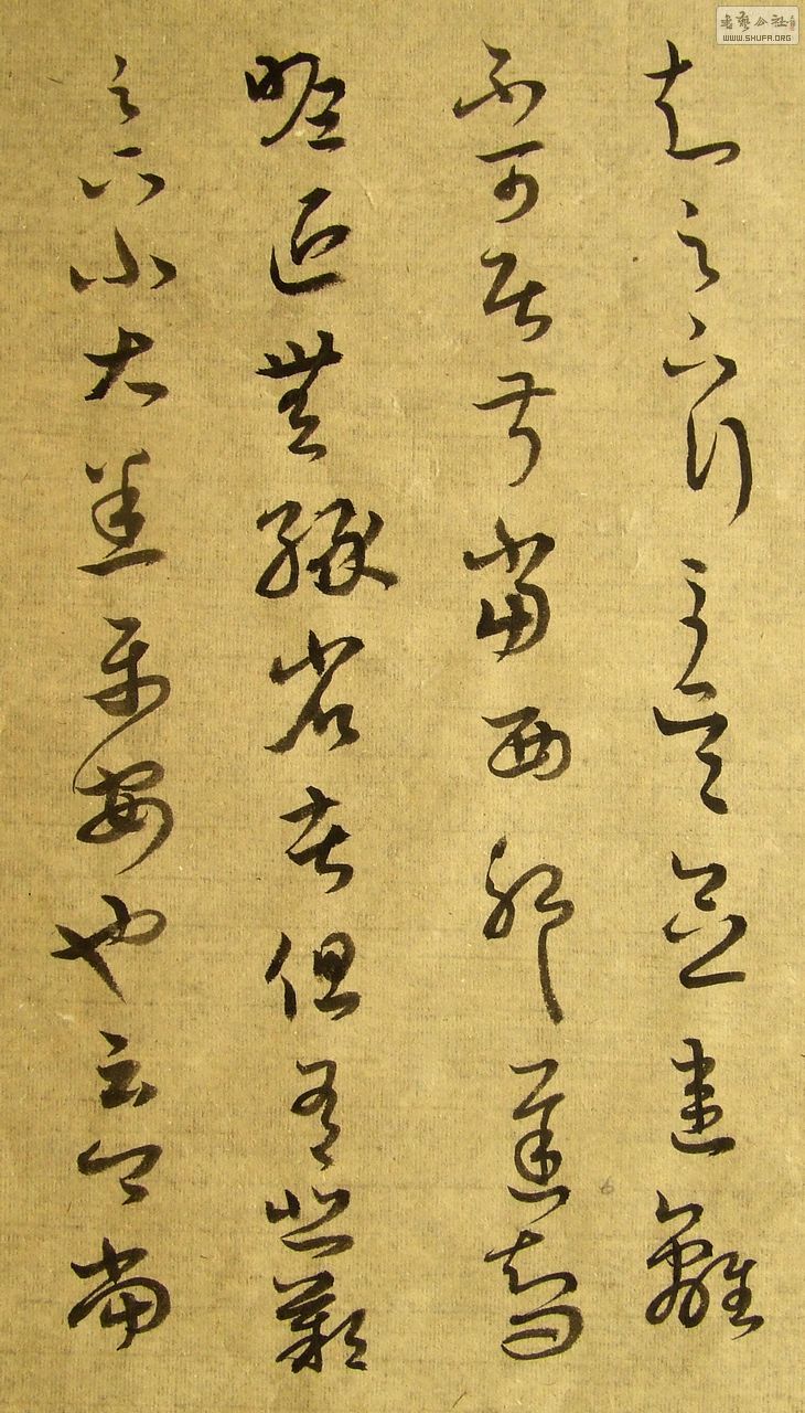 DSCF7737.JPG