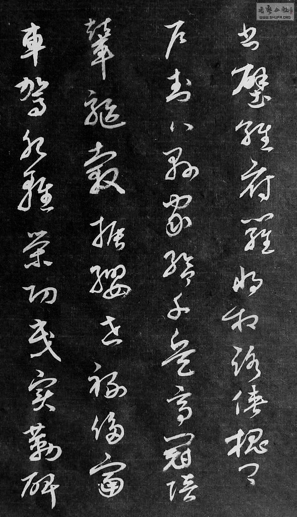 DSCF7746.JPG