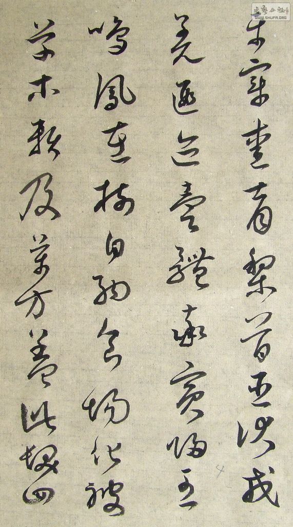 DSCF7789.JPG