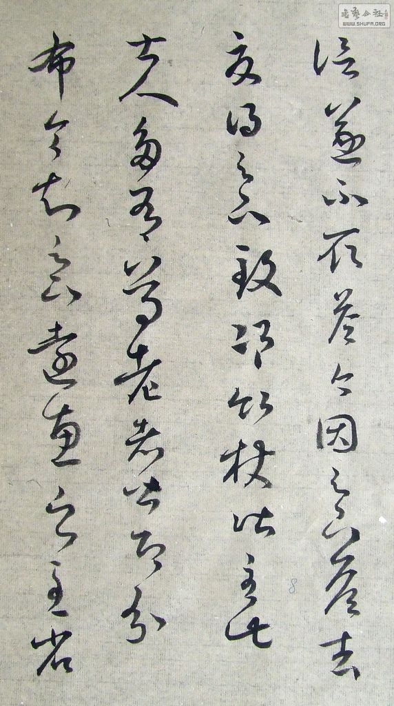 DSCF7781.JPG