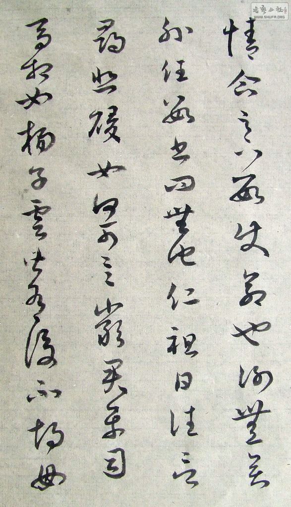 DSCF7755.JPG