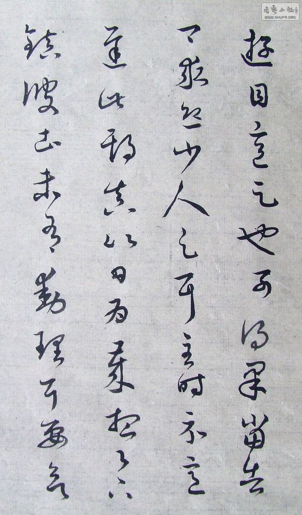 DSCF7751.JPG