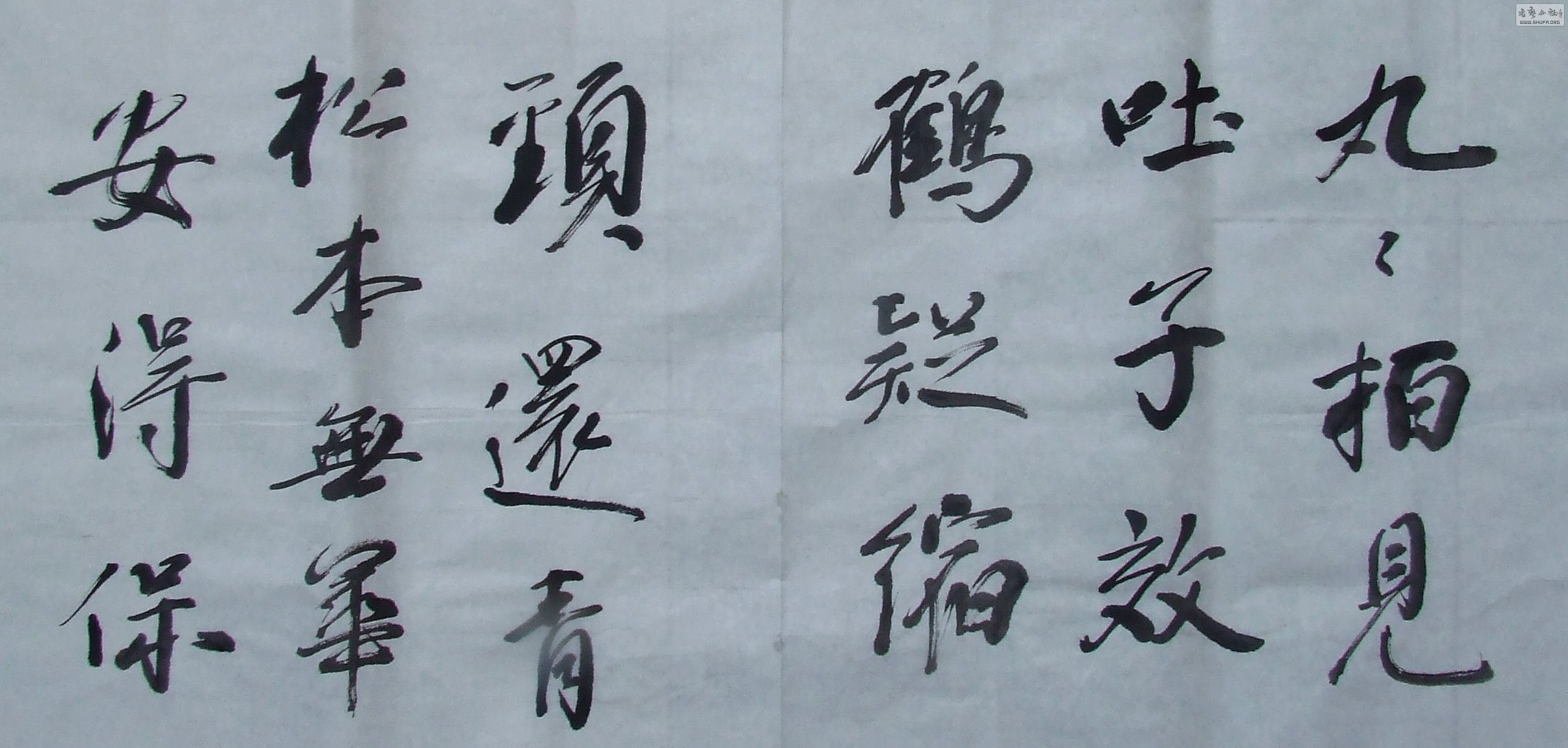 DSCF1550.JPG