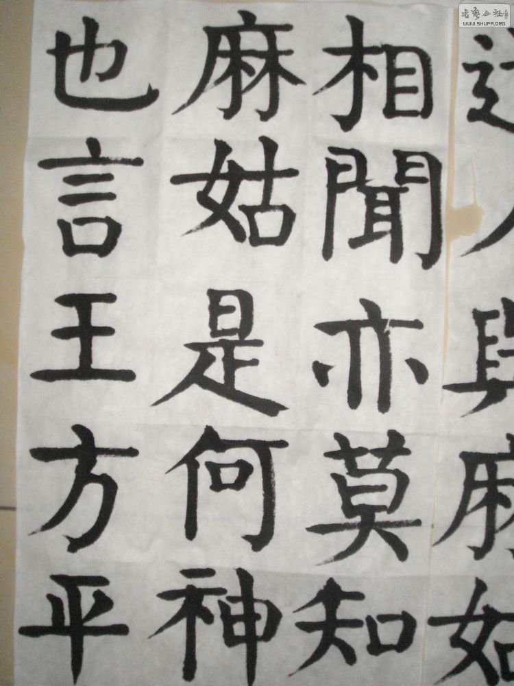 DSC04699.jpg