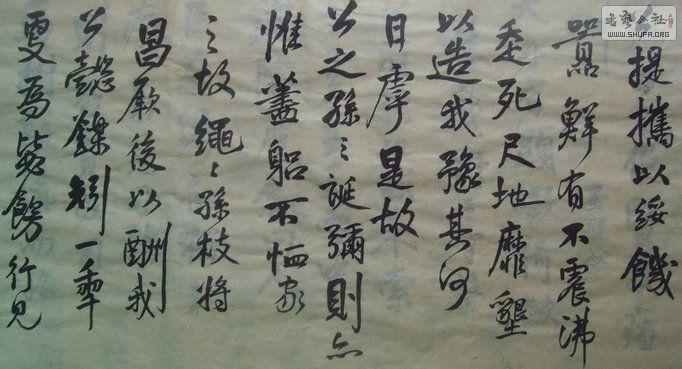 SNV35471.JPG