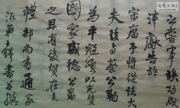 SNV35468.JPG