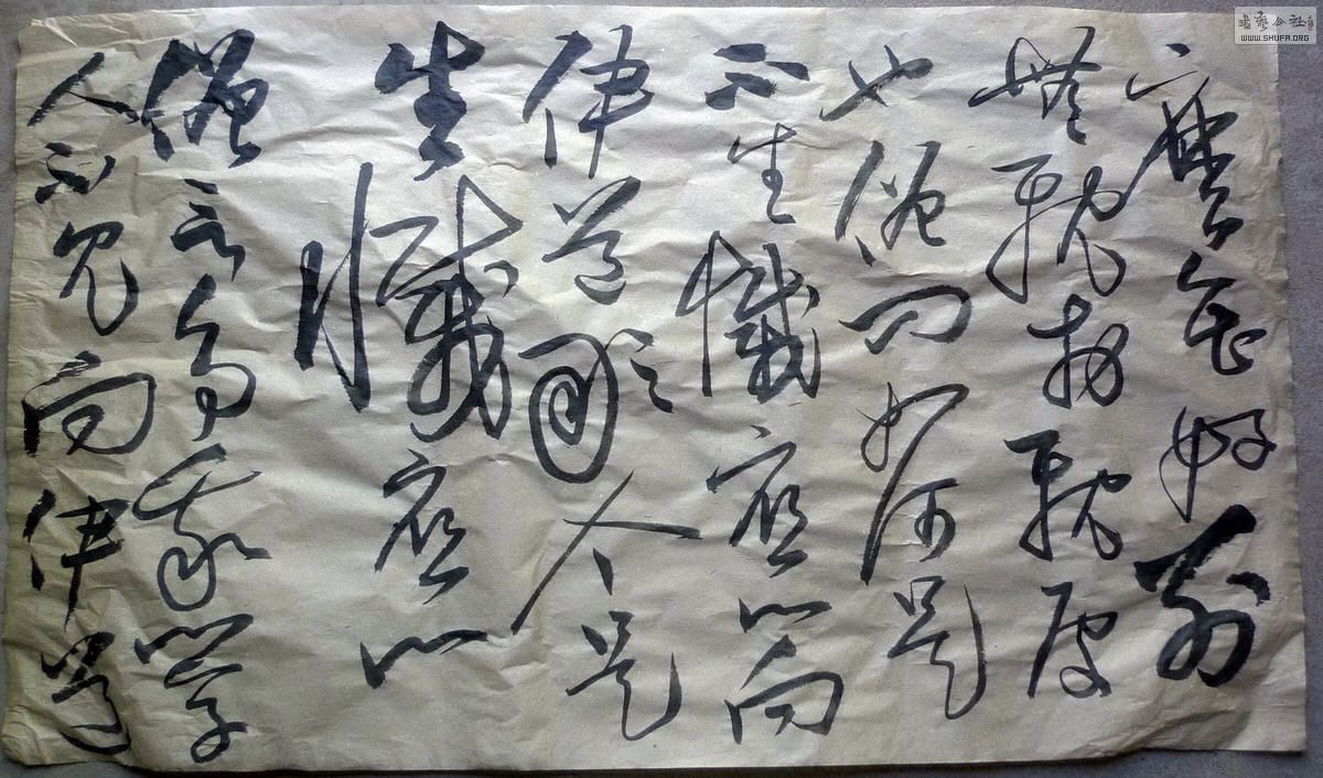 P1060455.JPG